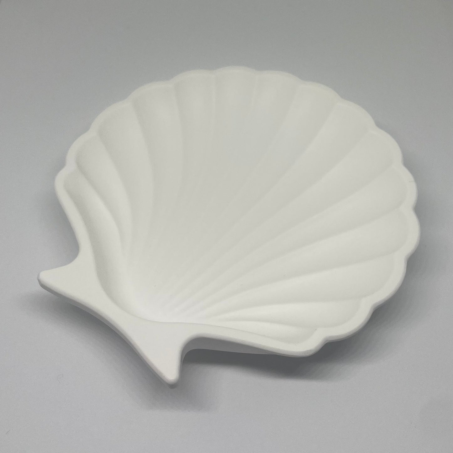 Shell trinket