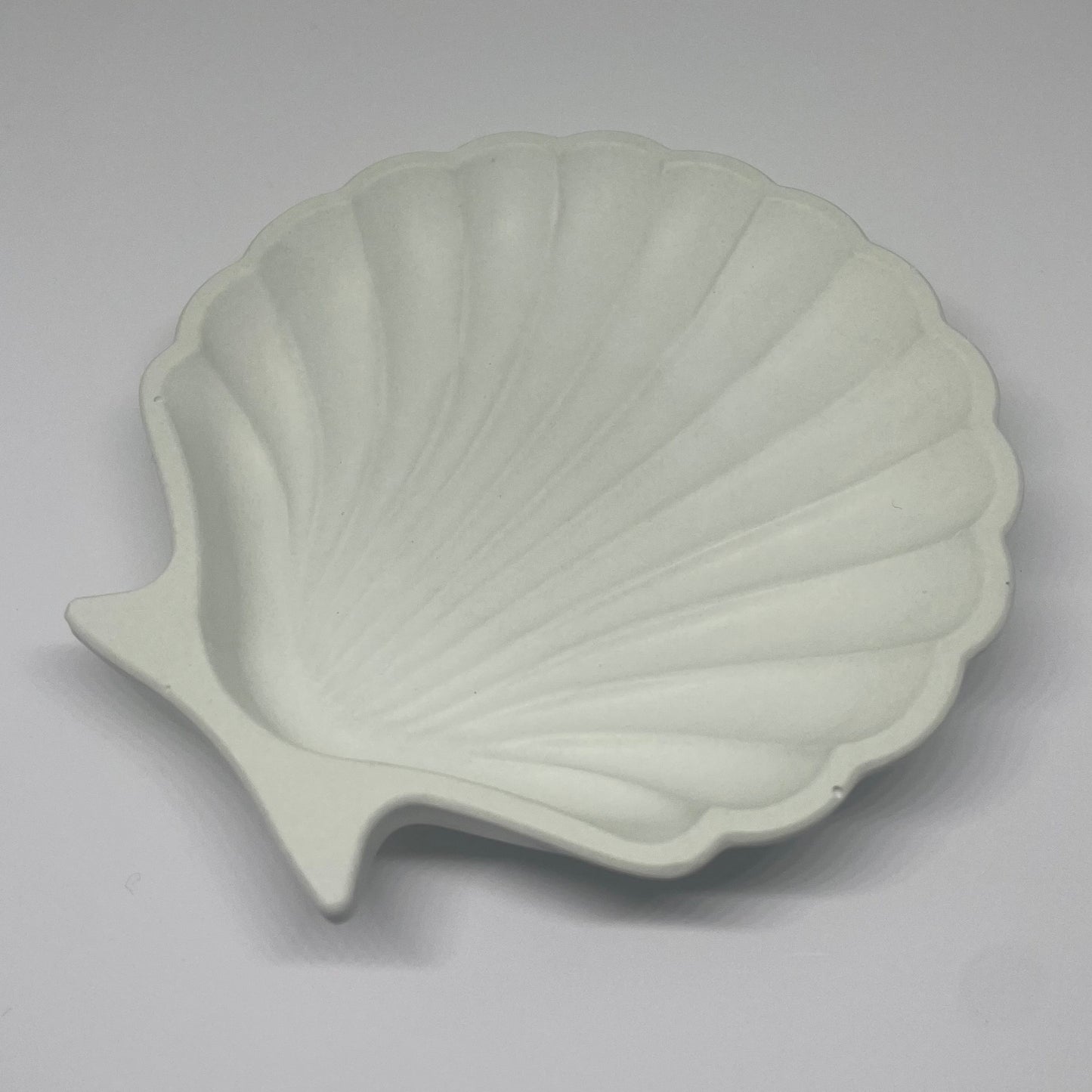 Shell trinket